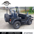 Made in China Factory Selling Cheaper Racing Go Kart (JY-ATV020)